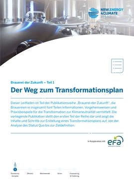 Der Weg zum Transformationsplan