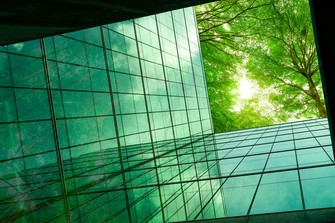 Foto einer gläsernen Häuserfassade aus der Froschperspektive, am Himmel grüne Baumkronen