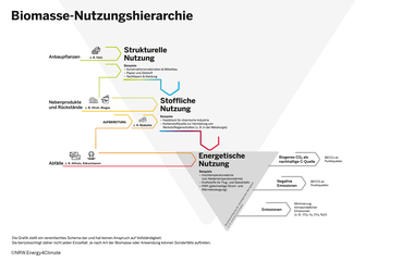 Biomasse-Nutzungshierarchie