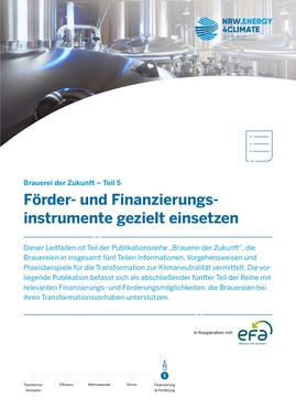 Förder- und Finanzierungsmöglichkeiten gezielt einsetzen - BdZ 5