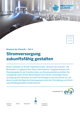 Stromversorgung zukunftsfähig gestalten - BdZ 4